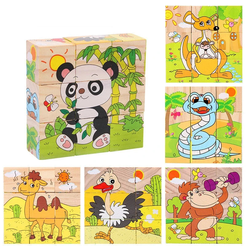 6 in 1 Puzzle Wooden Cubes