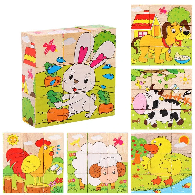 6 in 1 Puzzle Wooden Cubes