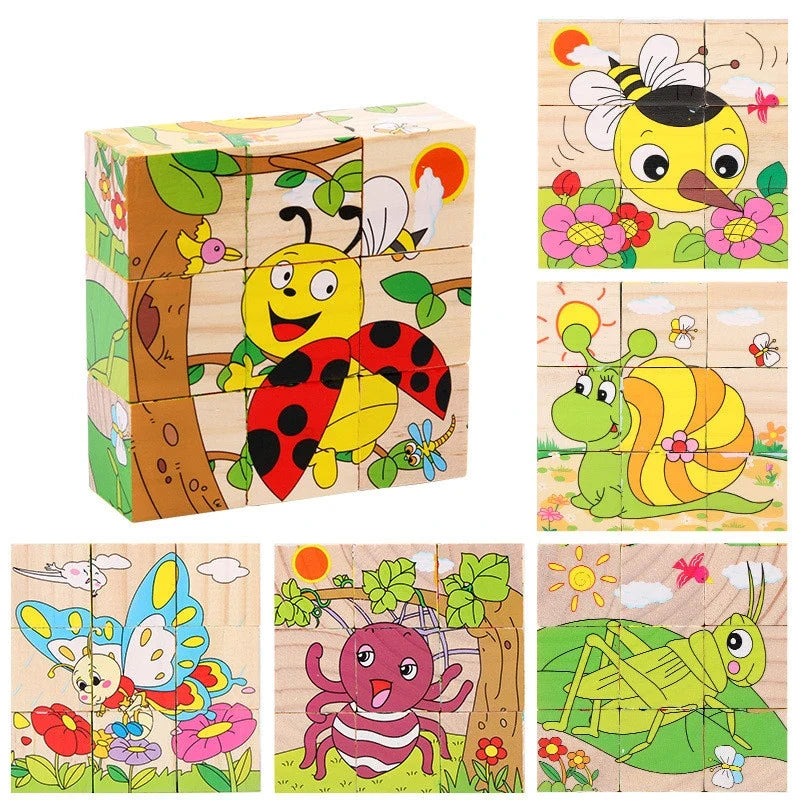 6 in 1 Puzzle Wooden Cubes