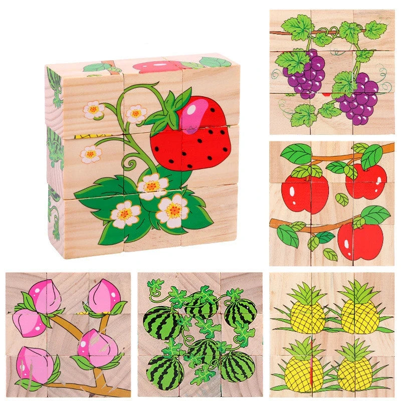 6 in 1 Puzzle Wooden Cubes