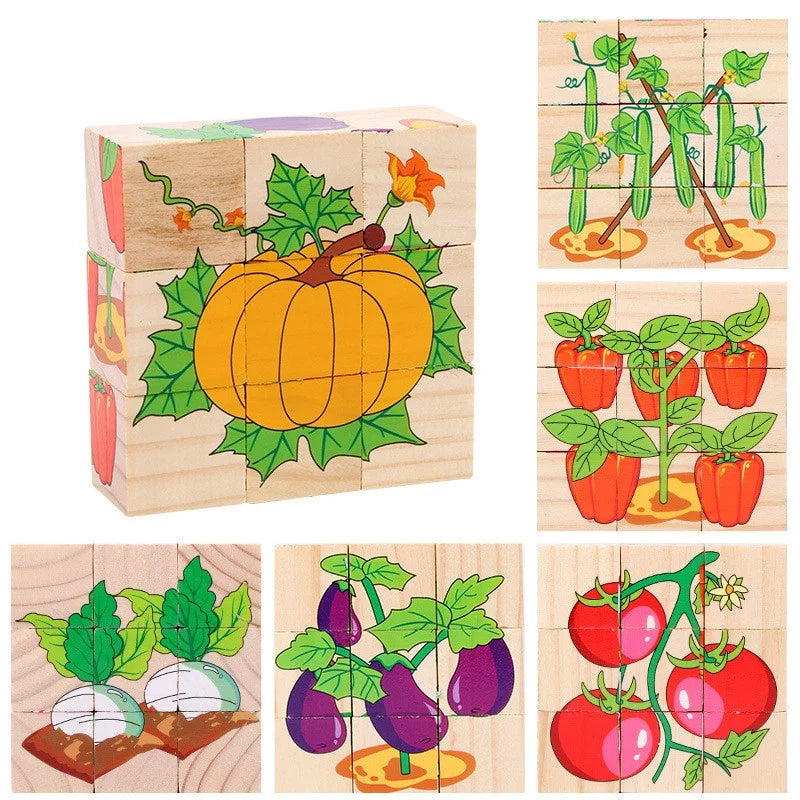 6 in 1 Puzzle Wooden Cubes