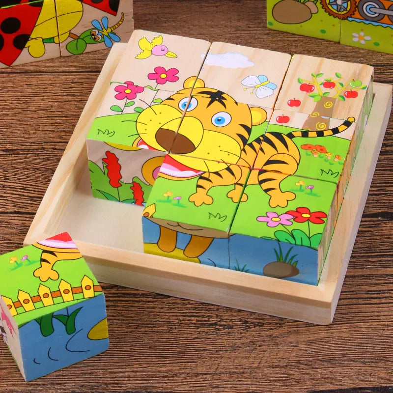 6 in 1 Puzzle Wooden Cubes